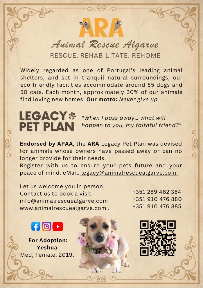 APAA Variety Show — November 2025 — page 11